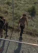 thewalkingdead0402-2083.jpg