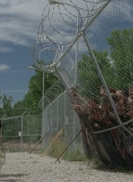 thewalkingdead0402-2087.jpg