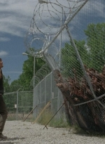 thewalkingdead0402-2088.jpg