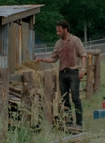 thewalkingdead0402-2715.jpg