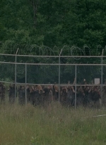 thewalkingdead0402-2847.jpg