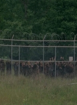 thewalkingdead0402-2849.jpg