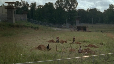 twd403-0036.jpg