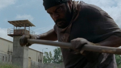 twd403-0271.jpg