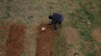 twd403-0656.jpg
