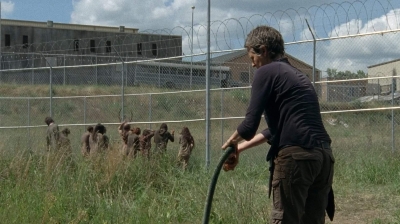 twd403-2178.jpg