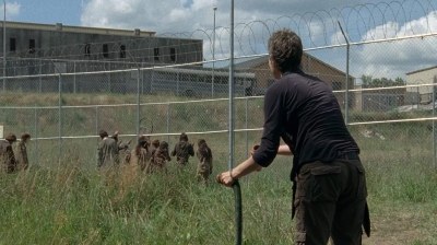 twd403-2187.jpg