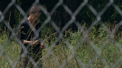 twd403-2192.jpg