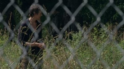 twd403-2193.jpg