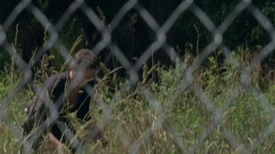 twd403-2196.jpg