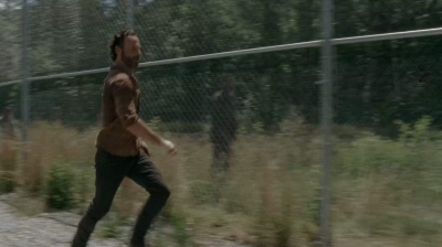 twd403-2271.jpg