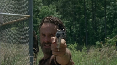 twd403-2295.jpg