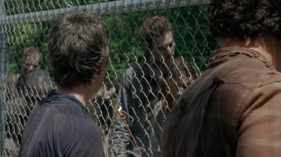 twd403-2311.jpg