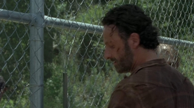 twd403-2312.jpg