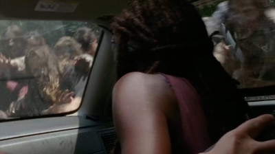 twd403-2441.jpg