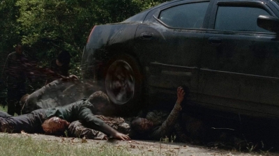 twd403-2449.jpg