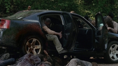 twd403-2473.jpg