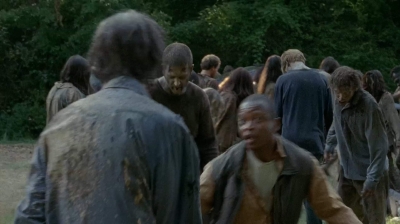 twd403-2535.jpg