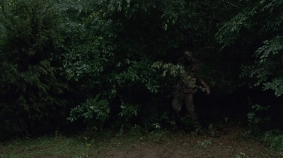 twd403-2600.jpg