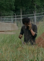 twd403-0011.jpg