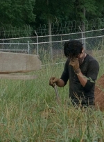 twd403-0012.jpg