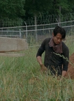 twd403-0032.jpg