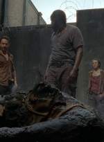 twd403-0073.jpg