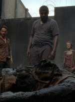 twd403-0078.jpg