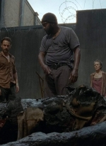 twd403-0081.jpg