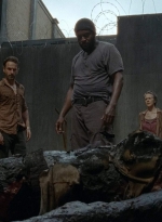 twd403-0083.jpg