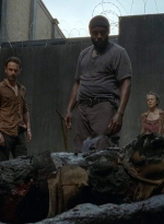 twd403-0084.jpg