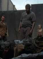 twd403-0085.jpg