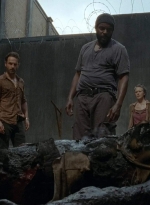 twd403-0086.jpg