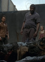 twd403-0087.jpg