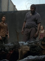 twd403-0088.jpg