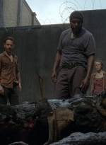 twd403-0089.jpg