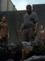 twd403-0090.jpg