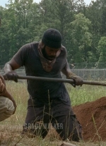 twd403-0281.jpg