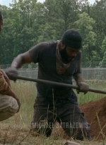 twd403-0282.jpg