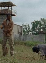 twd403-0306.jpg