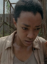 twd403-0365.jpg