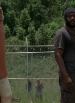 twd403-0697.jpg