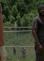 twd403-0701.jpg