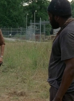 twd403-0714.jpg