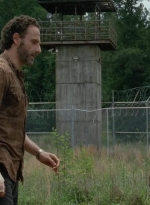 twd403-0730.jpg