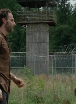 twd403-0733.jpg