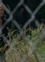 twd403-2195.jpg