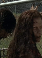 twd403-2224.jpg