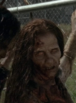 twd403-2225.jpg