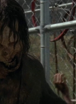 twd403-2228.jpg